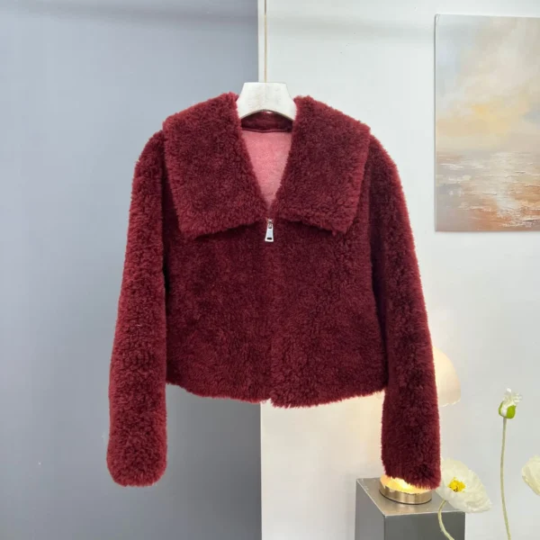 2024 autumn and winter clothing new lamb wool granule fur coat women's short sheep shearing wool Korean version fashion - Image 3
