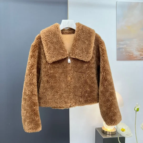 2024 autumn and winter clothing new lamb wool granule fur coat women's short sheep shearing wool Korean version fashion