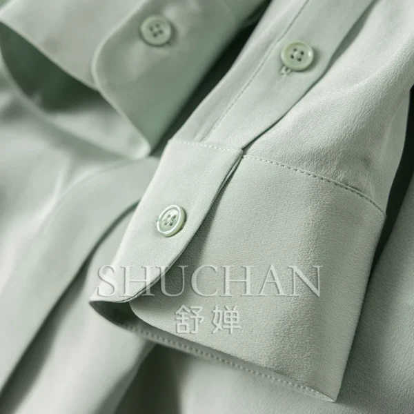 Thin 2025 Early Spring Fresh Colors Arc Pendulum Sand Wash Silk Lapel Shirt Women Blouses for Women Fashion 8U80 - Image 4